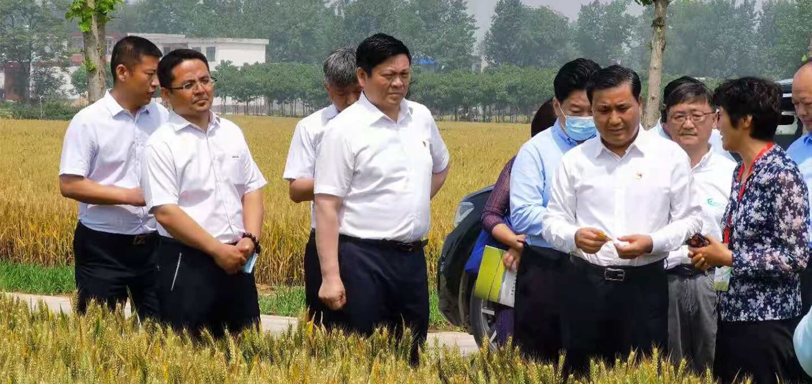 MetInfo enterprise content manager system | MetInfo CMS 红豆钱包 - 安全可靠的个人资金管理钱包