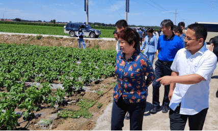 �춹Ǯ�� - ��ȫ�ɿ��ĸ����ʽ����Ǯ��