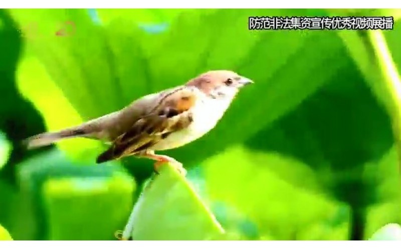 ��ת�ء���ס�Ҹ�