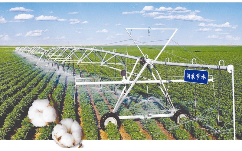 ָ��ʽ����