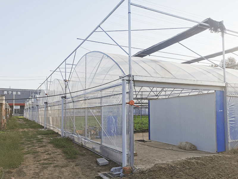 Construction Project of Beijing Yunong Hangshi Vegetable Factory Seedling Nursery